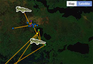 Tracking map