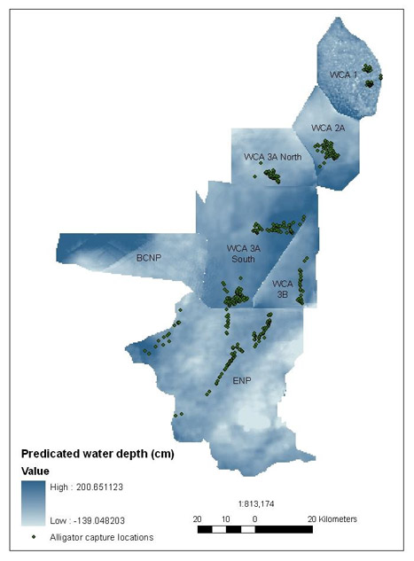 Alligator Capture Locations