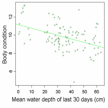 Measured vs. Predicted Water Depth