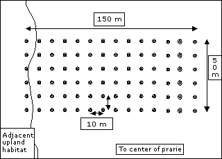 Transect