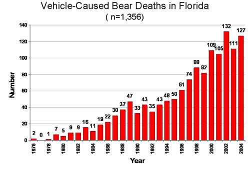 Vehicle Caused Bear Deaths in Florida