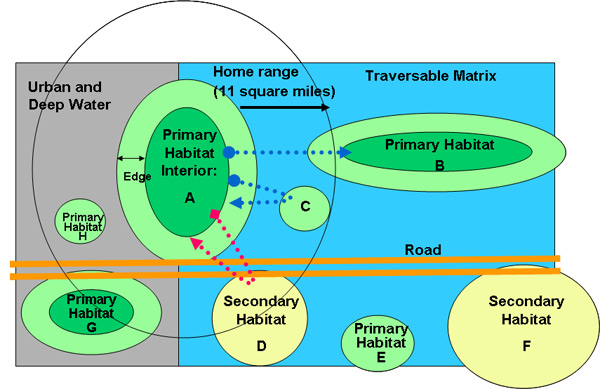 Landscape connectivity