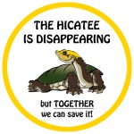 hicatee bumper sticker