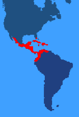 Distribution of the American Crocodile