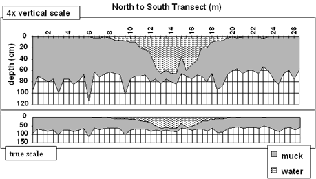 Transect Data