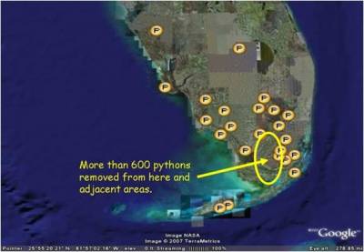 Locations of Burmese Pythons