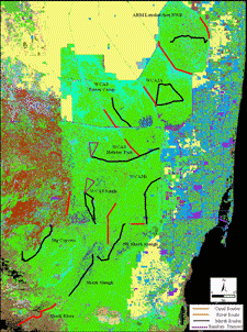Spotlight Survey Transect Locations for the Alligator Survey Network