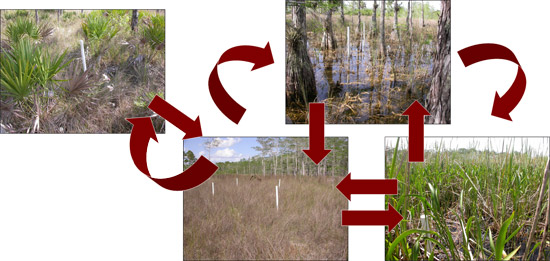 Habitat Types